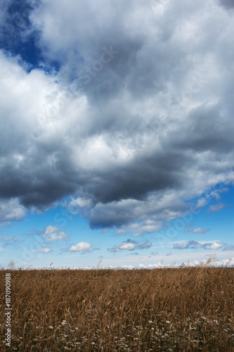 Cloudy sky over agricultural field.