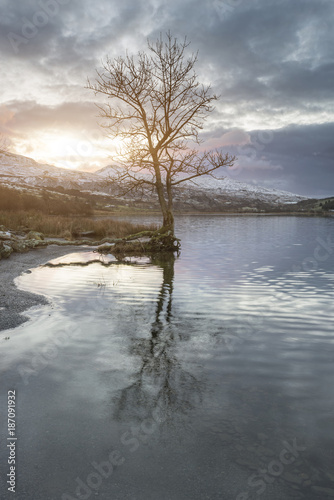 Stunning sunrise landscape image in Winter of Llyn Cwellyn in Snowdonia National Park with snow capped mountains in background © veneratio