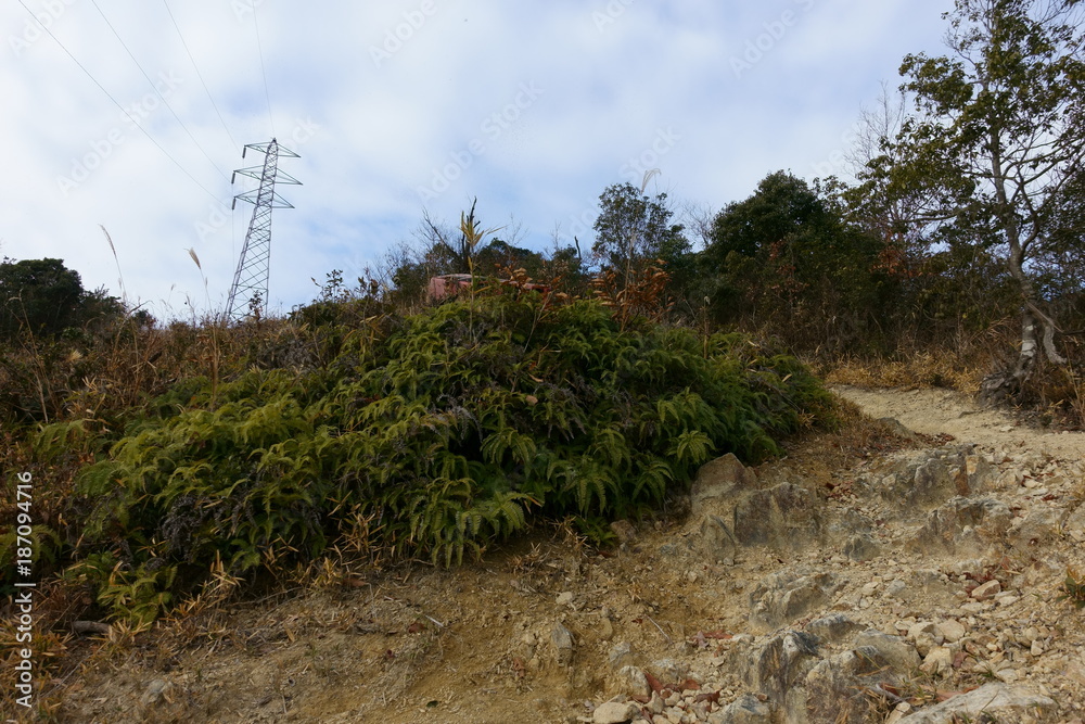 Fototapeta premium 赤穂市の雄鷹台山の登山道に不法投棄された自動車