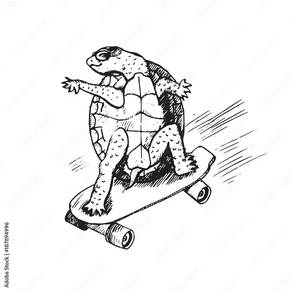 Cartoon character of turtle in glasses on skateboard, hand drawn doodle  sketch, isolated vector outline illustration Stock Vector | Adobe Stock