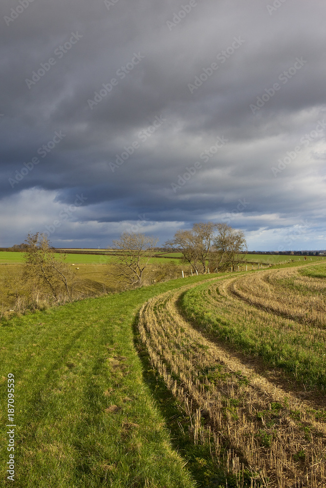 storm clouds and bridleway