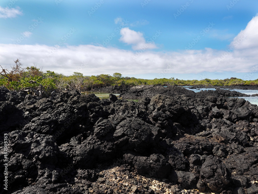 The southern island of Isabela, Galapagos, Ecuador The southern island of Isabela, Galapagos, Ecuador