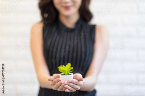 woman's hands holding a green young plant