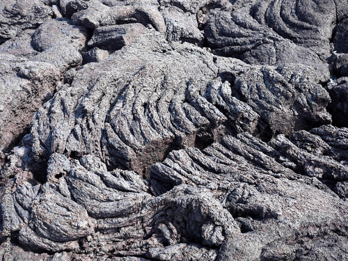 Black lava ropes, on the coast Isabela island Isabela, Galapagos, Ecuador