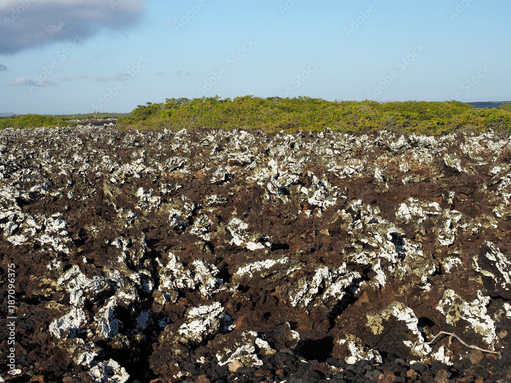 Stuffed lava on island Islote Tintoreras commemorates the moonland, Galapagos, Ecuador