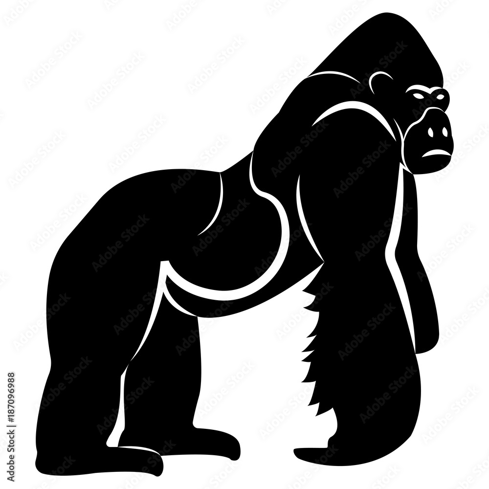 Vector image of a silhouette gorilla on a white background