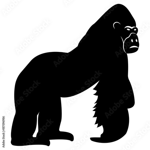 Vector image of a silhouette gorilla on a white background
