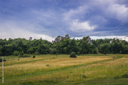 Polish Jurassic Highland, Silesia region in Poland - Ogrodzieniec Castle ruins on background