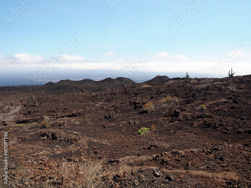 A desolate landscape around Sierra Negra volcano, Isabela Island, Galapagos, Ecuador