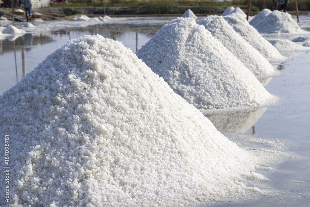 Piles of sea salt in the salt farm under afternoon sunlight
