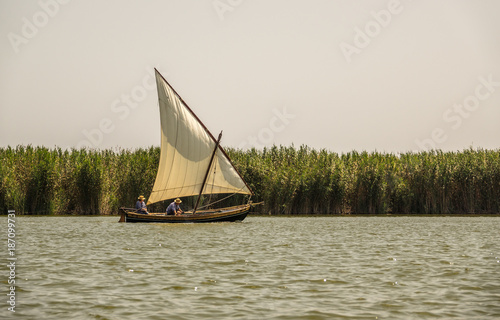Traditional wooden boats sailing in a regatta. traditional sport, Latin sailing ships in the Albufera in Valencia Spain