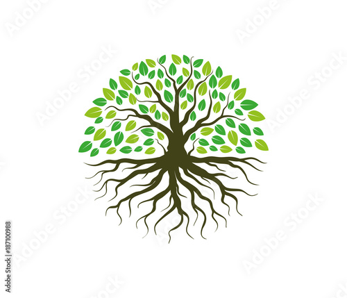 green forestry strong root tree logo 