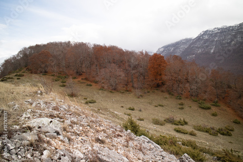 Paesaggio autunnale, Parco regionale Sirente Velino, Secinaro, Abruzzo, Italia