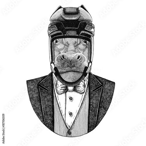 Canvas Print Hippo, Hippopotamus, behemoth, river-horse Animal wearing jacket with bow-tie and hockey helmet or aviatior helmet