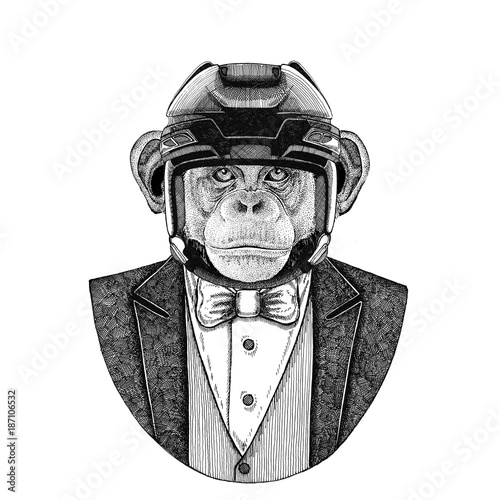 Photography Chimpanzee, Monkey, ape Animal wearing jacket with bow-tie and hockey helmet or aviatior helmet