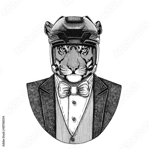Photography Wild tiger Animal wearing jacket with bow-tie and hockey helmet or aviatior helmet
