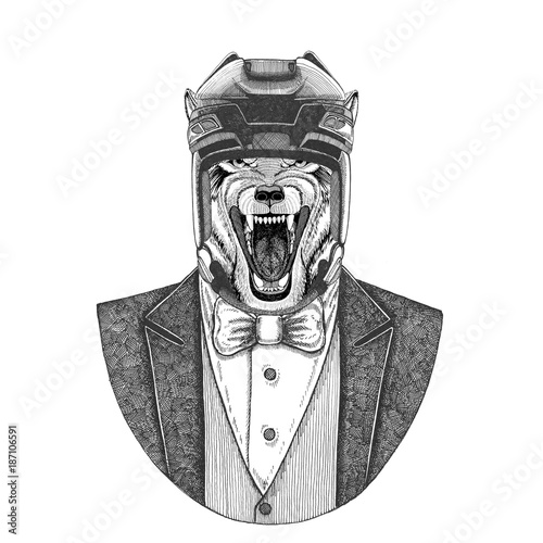 Photography Wolf, Dog Wild animal Animal wearing jacket with bow-tie and hockey helmet or aviatior helmet