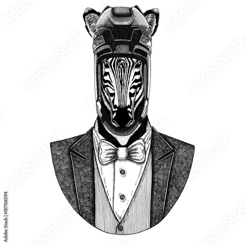 Canvas Print Zebra, Horse Animal wearing jacket with bow-tie and hockey helmet or aviatior helmet