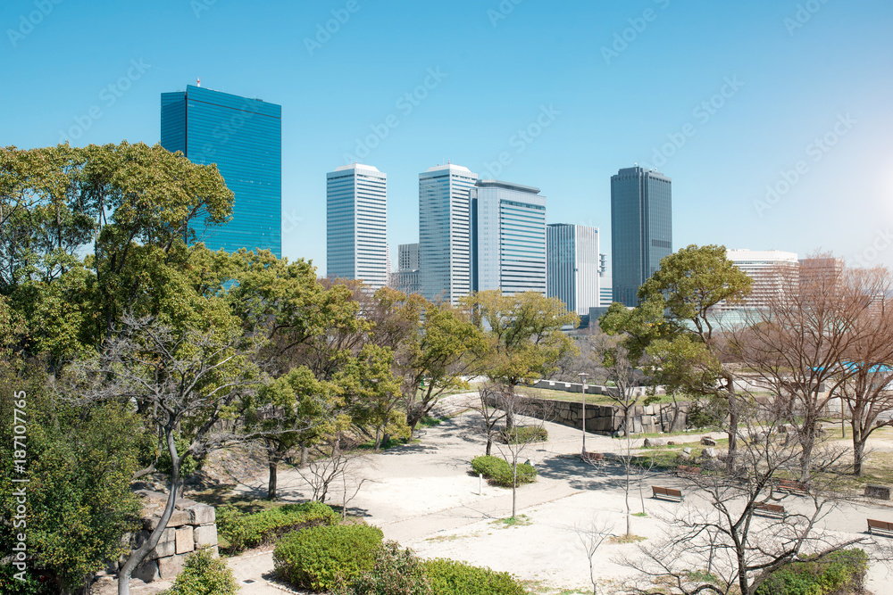 Fototapeta premium Park with the buildings in Tokyo, Japan.