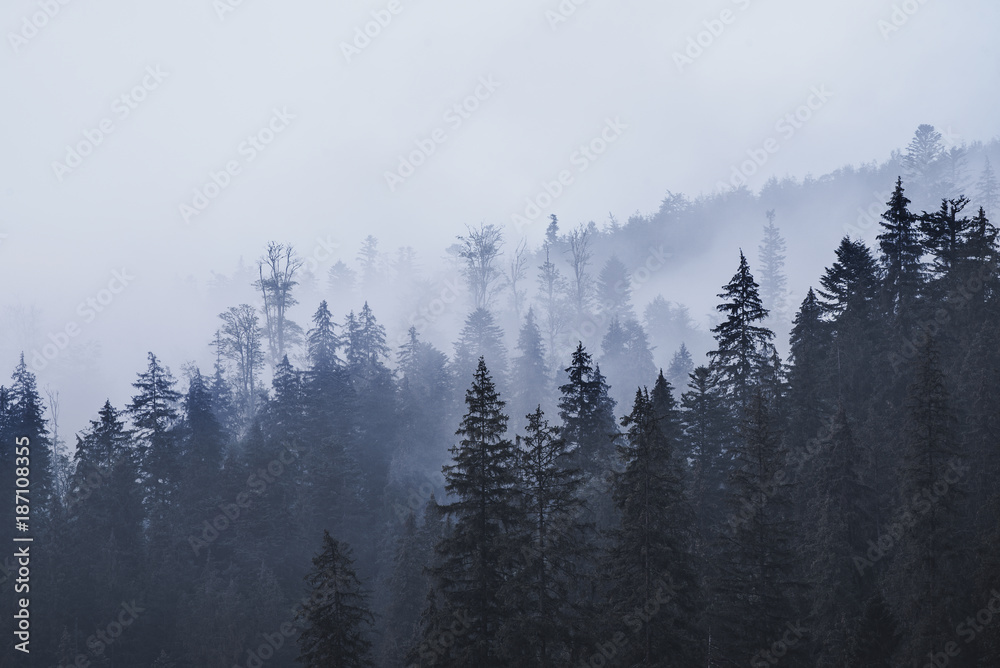 Misty landscape with mountains and fir forest in hipster vintage retro style