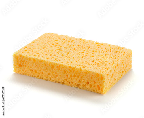 Fotografie sponge to do the dishes