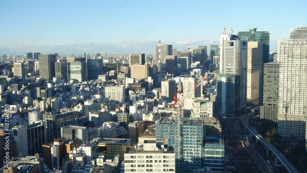 Landscape of Tokyo City Japan