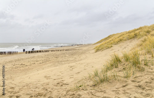 coastal beach scenery