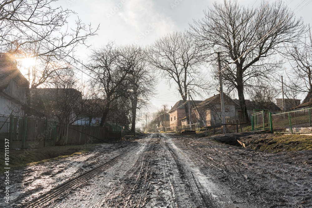 Fototapeta premium Village landscape, swamp and wet road, old houses and trees around, countryside path, road theme, Western Ukraine
