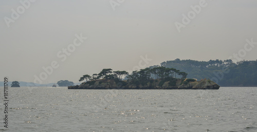 Pine tree islands in Matsushima, Japan photo
