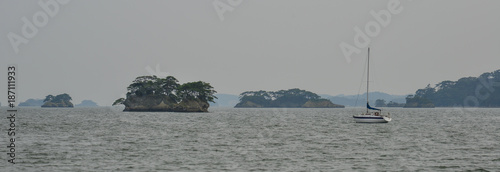 Pine tree islands in Matsushima, Japan photo