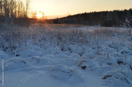 Winter morning sun at dawn over the forest edge of the forest © yarvin13