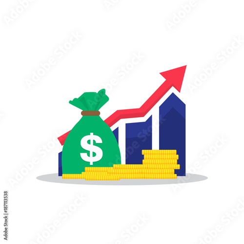 Income increase, financial strategy, high return on investment, budget balance, fund raising, long term increment, revenue growth