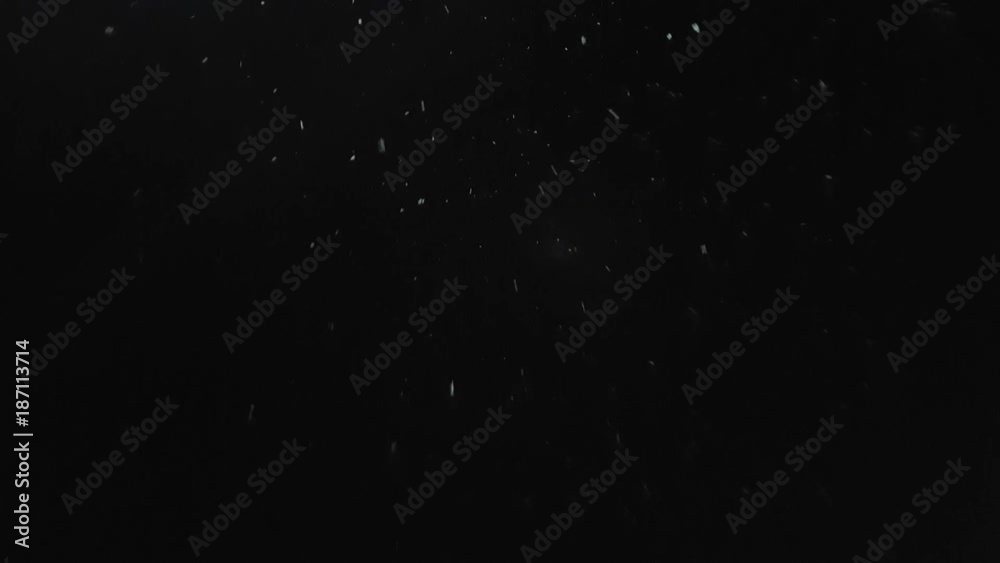 snow falls slowly in night winter