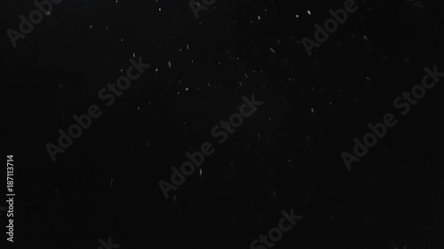 snow falls slowly in night winter