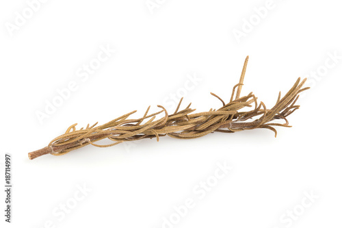 Dried rosemary isolated on a white background