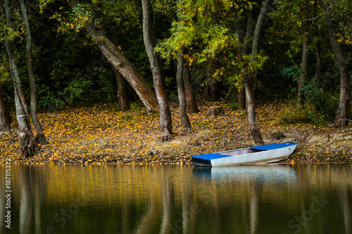 Autumn moments