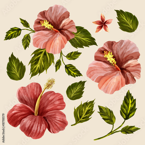Retro Hawaiian Hibiscus Style Floral Collection. Drawing watercolor. Design for invitation, wedding or greeting cards.