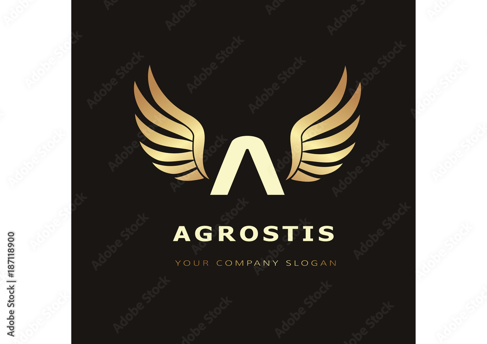 letter A logo Template for your company