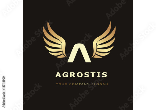 letter A logo Template for your company