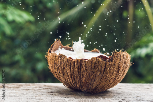 Coconut fruit and milk splash inside it on a background of a palm tree photo