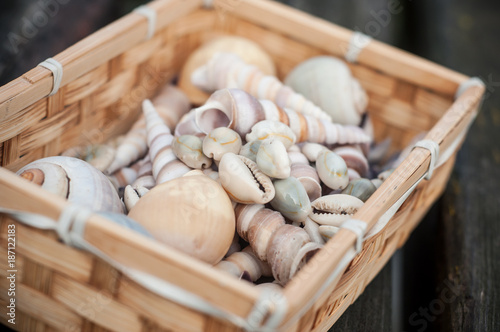 coquillage dans un petit panier en osier sur une table en bois