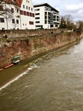 Donauradweg überschwemmt