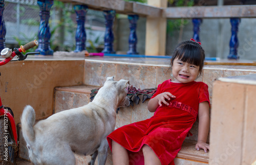 The girl playing with the dog