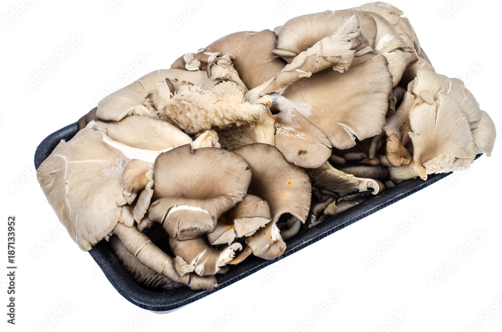 Fresh oyster mushrooms in black package Fresh oyster mushrooms in black package