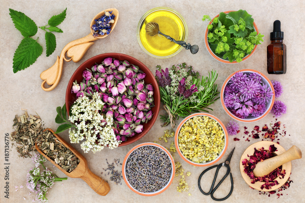 Herbal medicine preparation with fresh herbs and flowers, aromatherapy essential oil, mortar with pestle and scissors on hemp paper background. Top view. - obrazy, fototapety, plakaty 