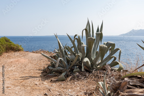 Coast of Sicily Italy