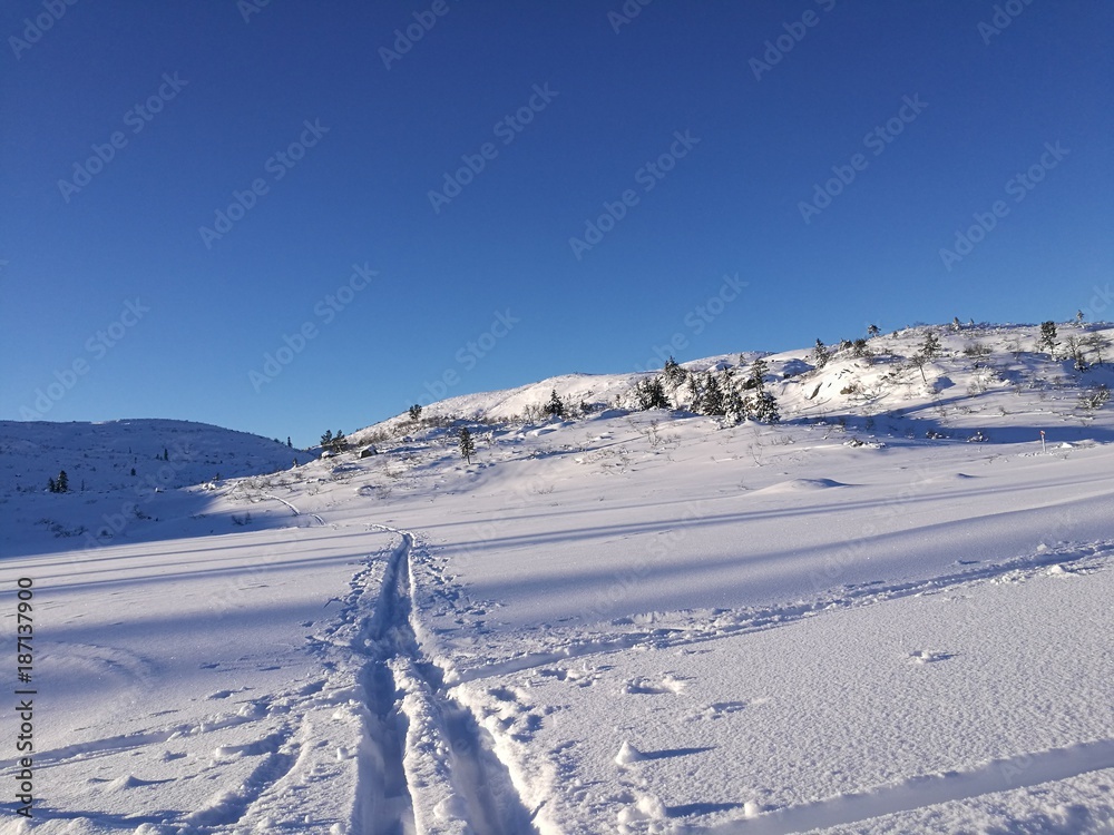 Ski trails