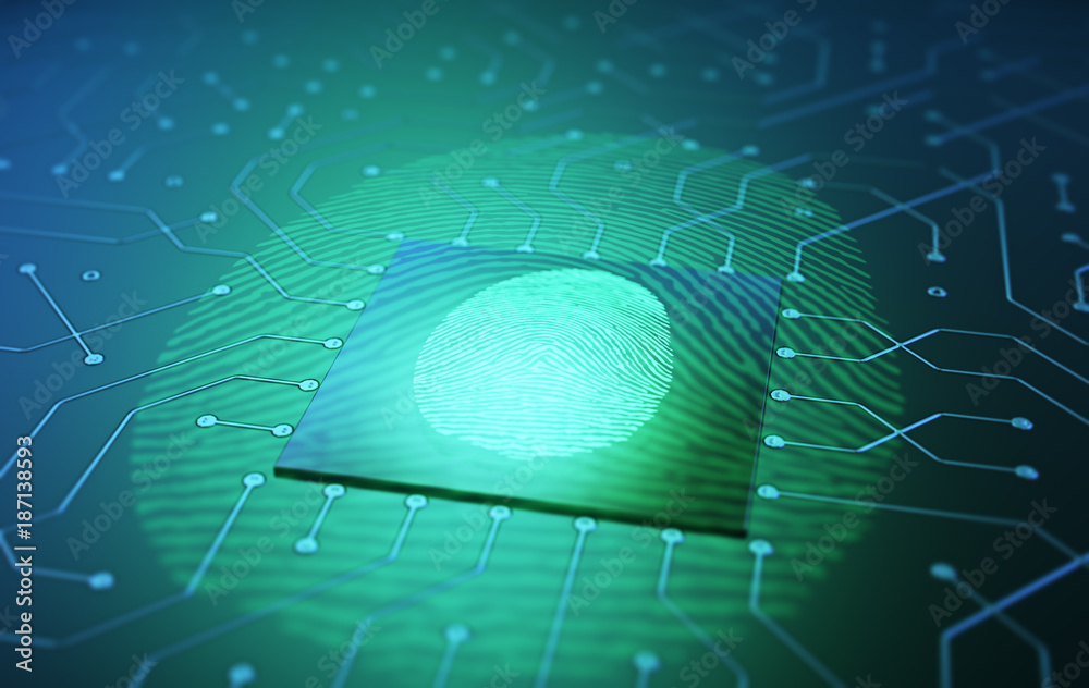 Access control. Fingerprint security. Cybersecurity and information ...