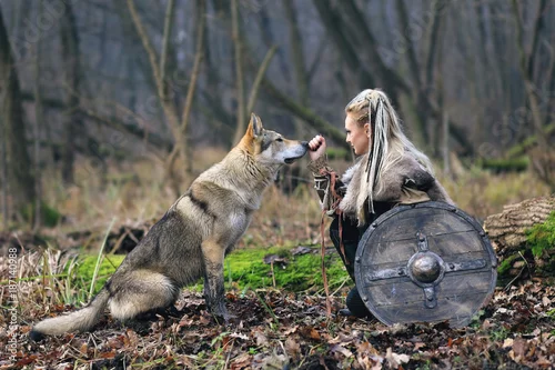 Fototapeta samoprzylepna Piękna kobieta wojownik wikingów w tradycyjnych strojach wojowników, z siekierą i tarczą, obok dzikiego wilka