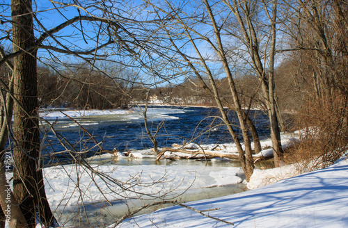 Trees on the banks of the Farmington River photo